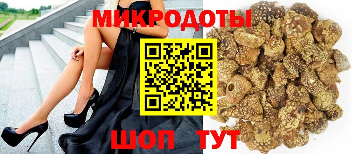 Псилоцибиновые грибы Psilocybe  Галлюциногенные грибы мицелий  Вход с VPN  Кингисепп 